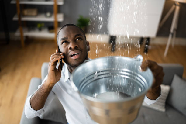 Best Water damage mitigation services  in Mooresville, IN
