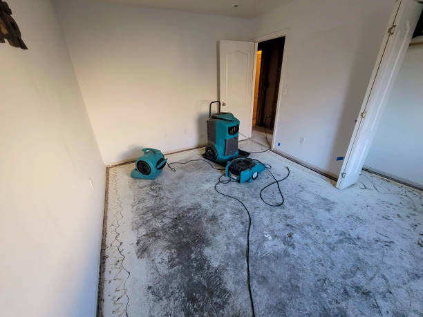  Mooresville, IN Water damage restoration Pros