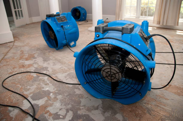 Best Residential water damage restoration  in Mooresville, IN