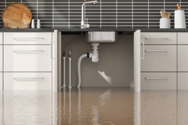 Best Flood restoration services  in Mooresville, IN