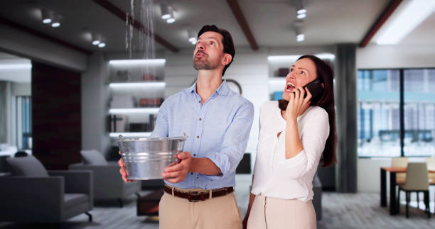 Best Carpet water damage restoration  in Mooresville, IN