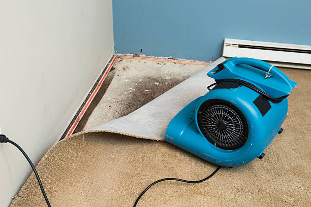 Best Sewage cleanup and water damage restoration  in Mooresville, IN